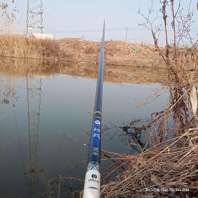 鲫鱼|早春鱼口稀,鲫鱼几尾来光顾