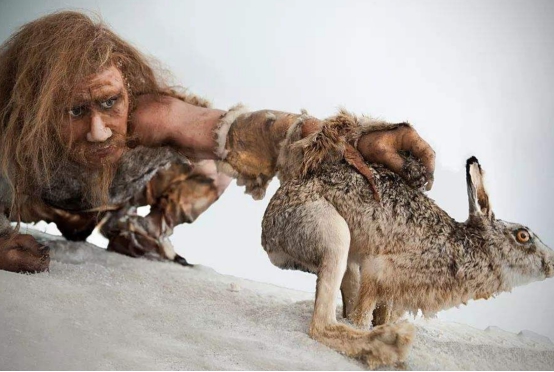 古人类会吃海鲜吗？10万年前的珊瑚化石被发现，或能佐证这一点