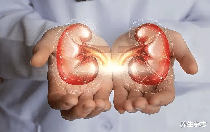 尿酸|卫生组织声明:停止食用“2圆1扁”,不想肾脏衰竭,趁早撤下餐桌