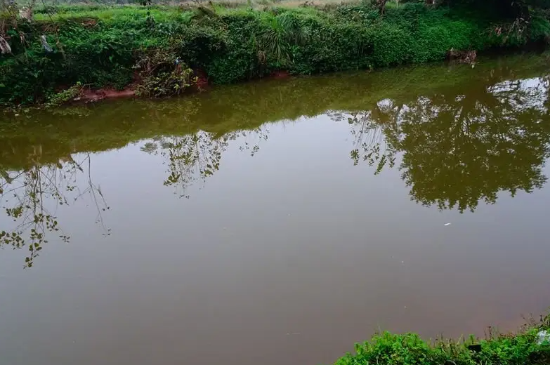 |犯钓瘾, 早起钓鱼, 发现门前的小河各种捕鱼高手云集, 鱼生真的不易!