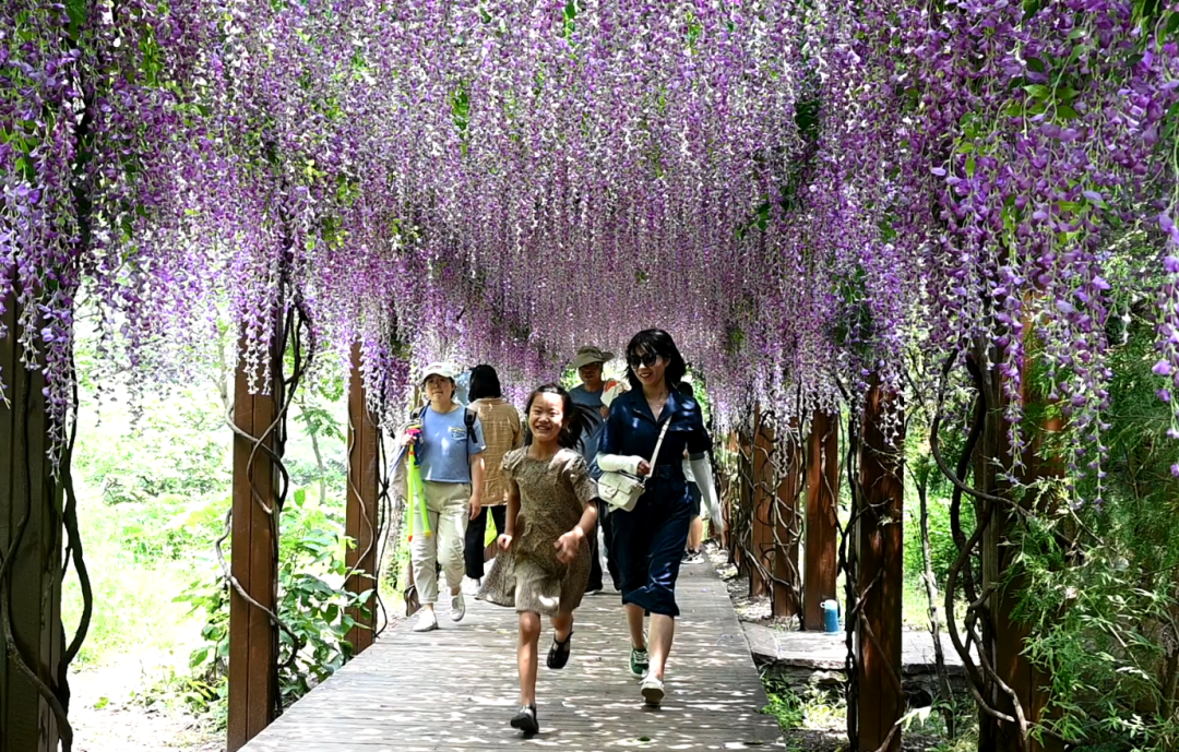 八里沟|河南旅游：五一小长假丨如果心有远方，那一定在这里！