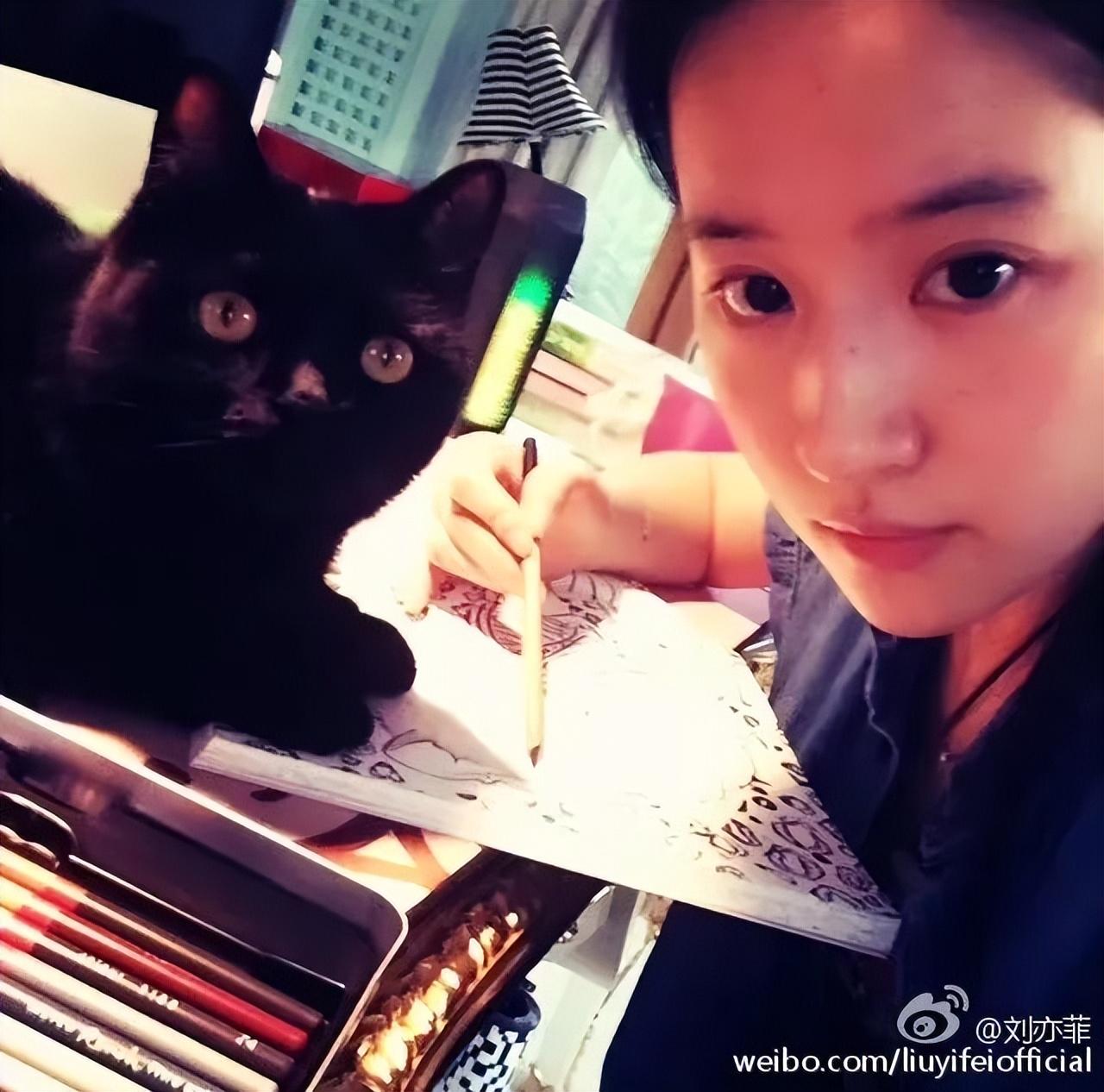 刘亦菲|神仙姐姐刘亦菲捡了11年流浪猫,如今她的千万豪宅里养了50只猫