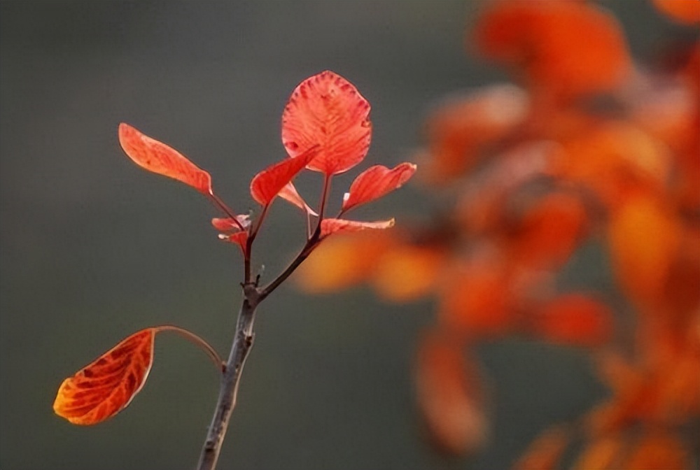|人这辈子，最难的就是40岁到50岁这10年，这么活着才算聪明
