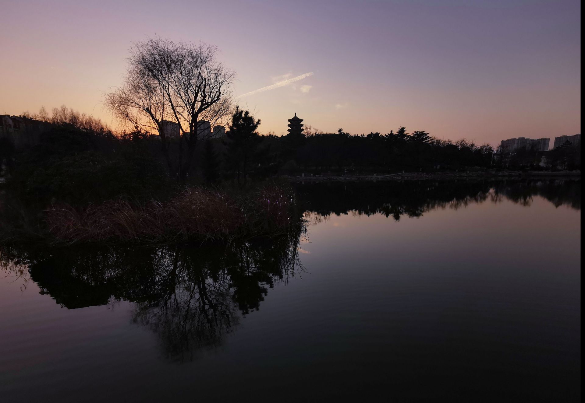 秦皇岛|腊月暖阳下，李村公园的“冬日小美好”