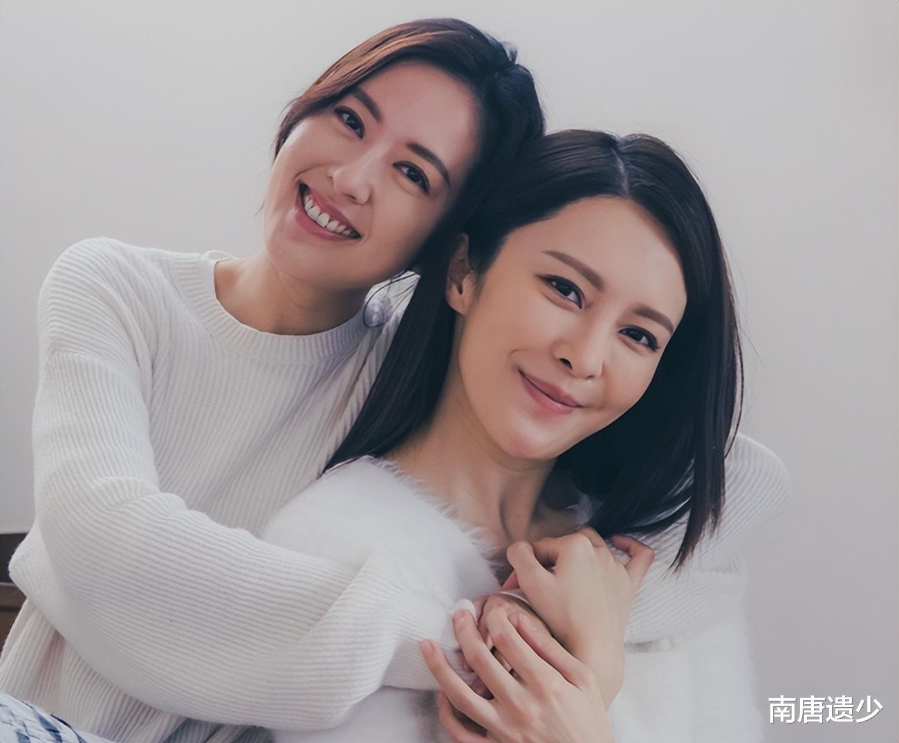 陈滢|TVB视帝视后竞争形势已明朗,陈滢单挑亚视帮,陈展鹏二封遇劲敌