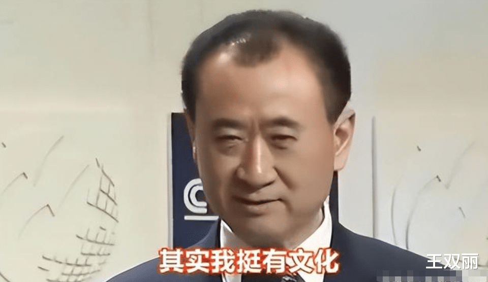 王思聪|王思聪:专坑自家老爹王健林,俗称娱乐圈纪检委,情场碰壁变舔狗