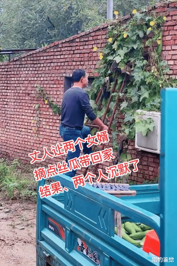 山东:老丈人让2女婿摘丝瓜,俩人反应亮了,网友:彩礼没少要?