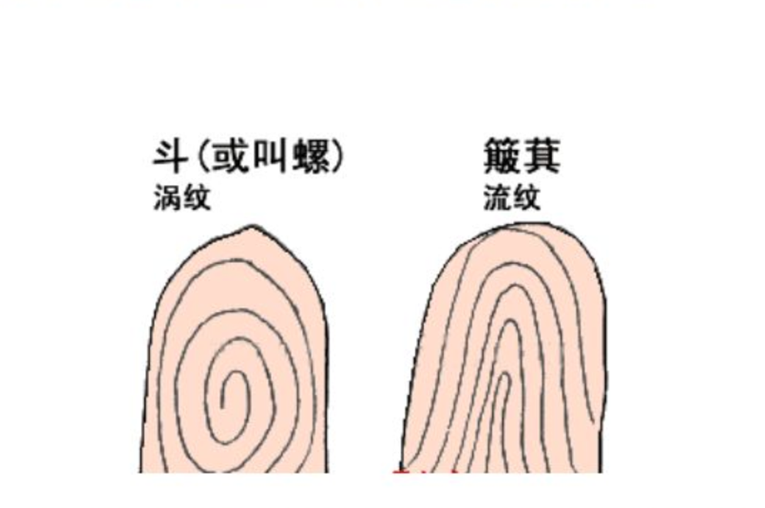 一斗穷、二斗富?康熙10个“簸箕”,科学家发现斗与簸箕的奥秘