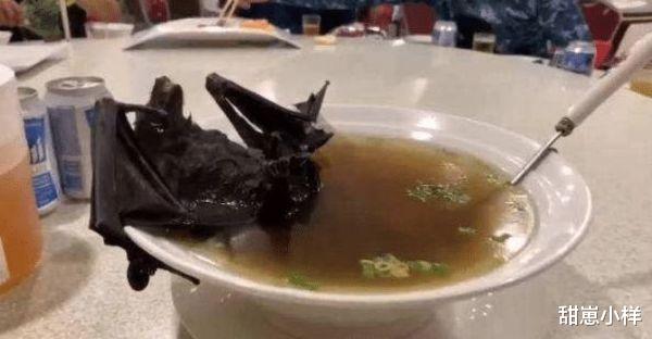 彻底消灭蝙蝠就可以一劳永逸? 蝙蝠并非只有坏处? 它的好处你可知