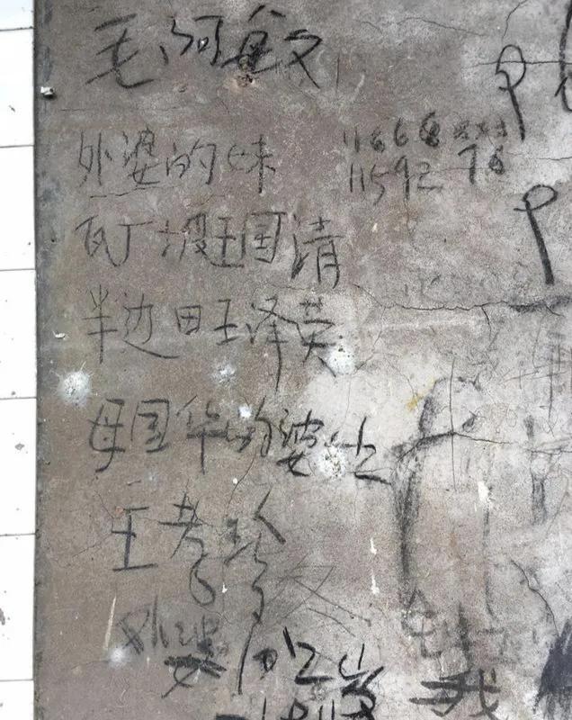 2007年,四川鳏夫捡到会写字的失智“无名女”,12年后才知她身份
