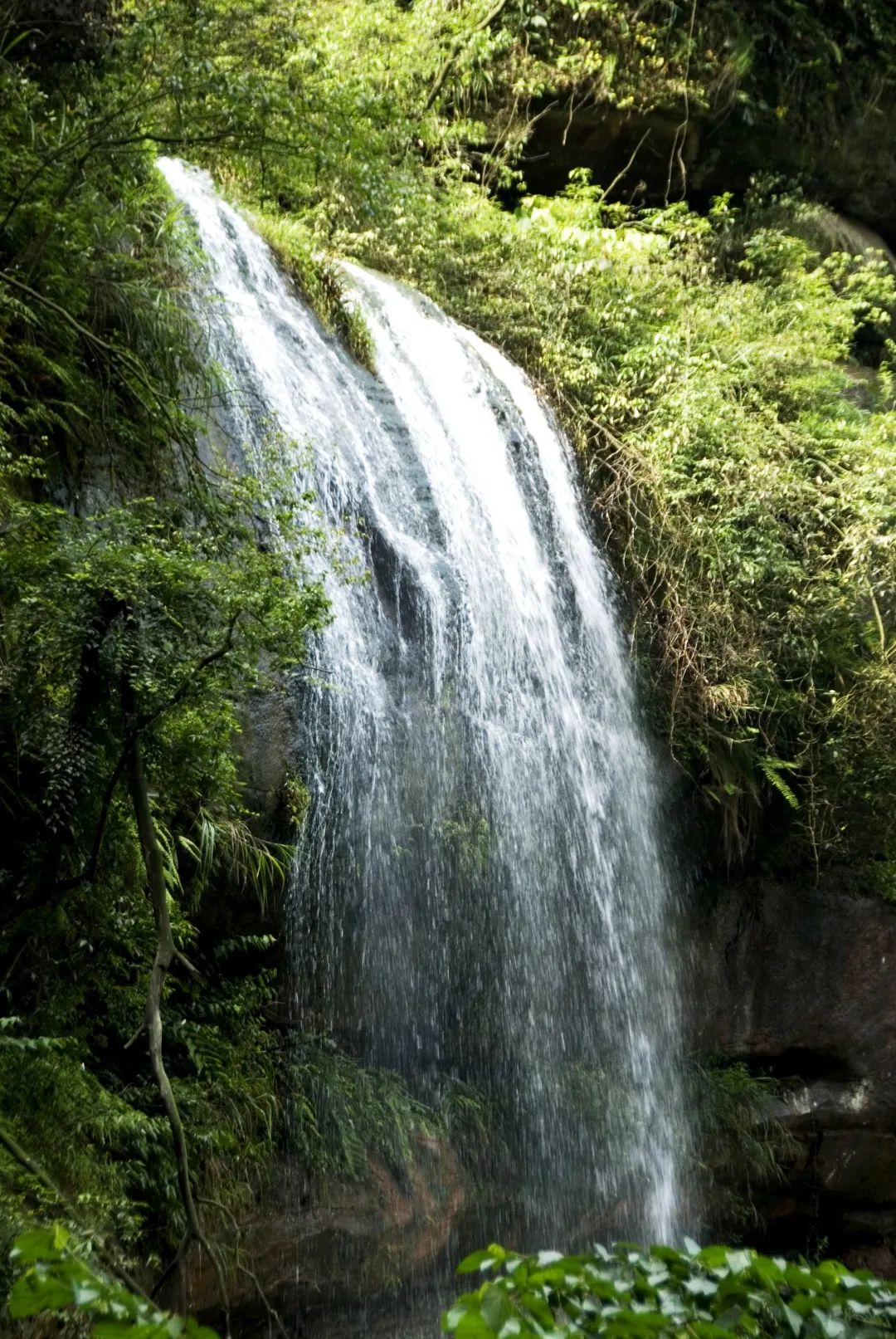 旅行|安排！5月最佳旅行地，江津这些地方美得撩人