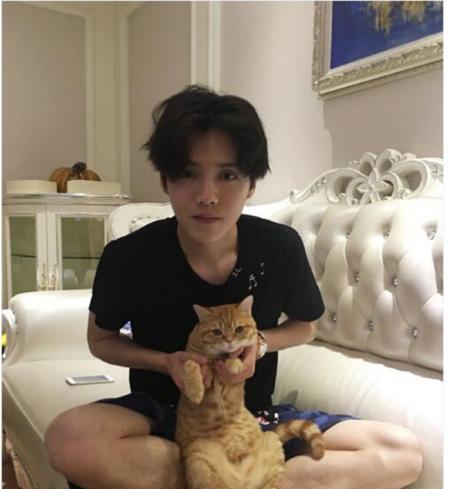 参观鹿晗现实的豪宅，家具都是欧式的，装修高档又舒适