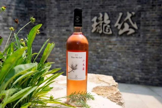 浙江省|看腻了山川大海,来一次酒庄游呗