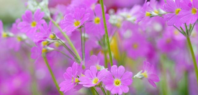 创业|当九月不再是开学季