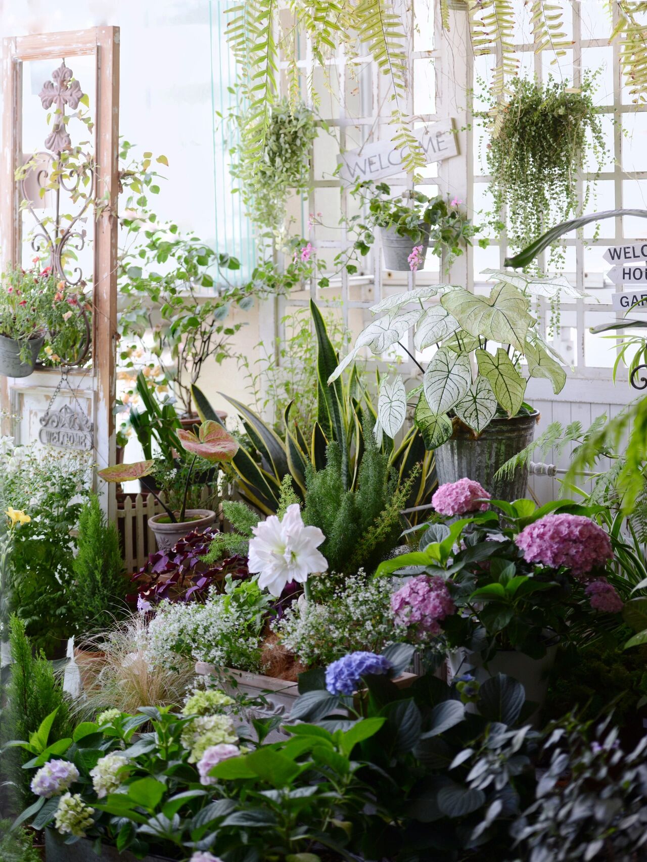 没有大院子,14㎡方寸阳台也能打造“四季小花园”,被美到了