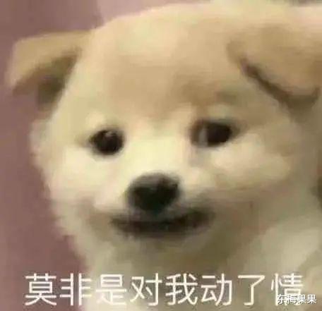 沈泰|他还没被封杀吗？！