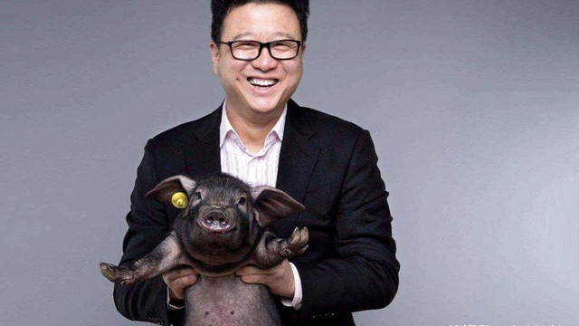 微信|网易CEO丁磊，从白手起家到游戏巨头，如今创业成功却开始养猪