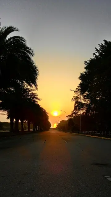 |领导总是不待见自己,作为下属该如何应对?