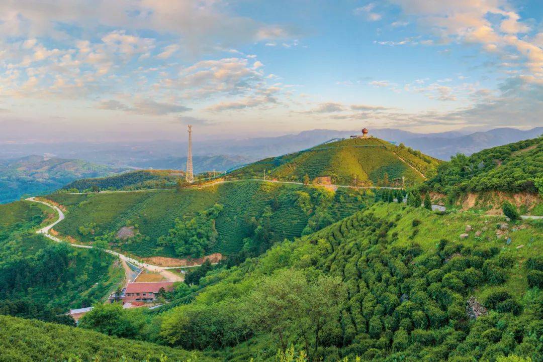 信阳|这座唯一的“永久宜居城市”，却鲜有人知，低调得让人心疼！