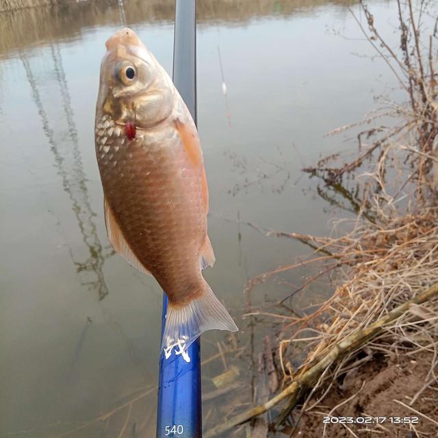 |初春野钓：钓深钓浅要灵活，这样钓渔获很理想