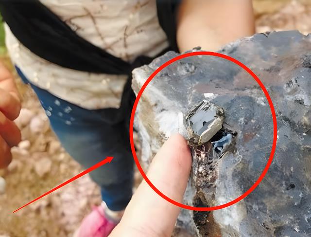 |2019年,浙江茶山被传遍地可挖“红宝石”,千人挖宝“真相”尴尬