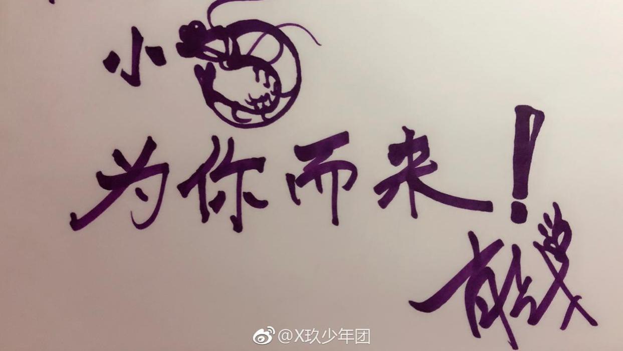 肖战|肖战粉丝小飞侠——拥有了自己独特灵魂和浪漫传奇历史的粉圈