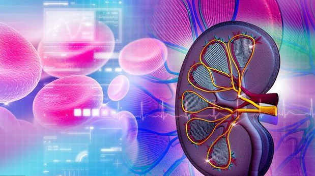 肾病|尿液泡沫多是肾病预兆?出现3种情况要警惕肾功能衰竭
