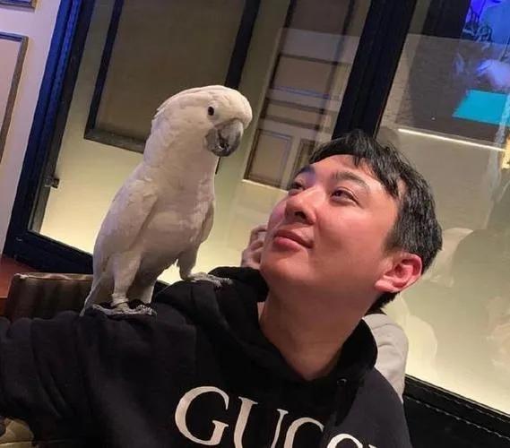 王思聪|王思聪:自认为一线明星,却在上海外滩五号被外卖小哥无视很尴尬