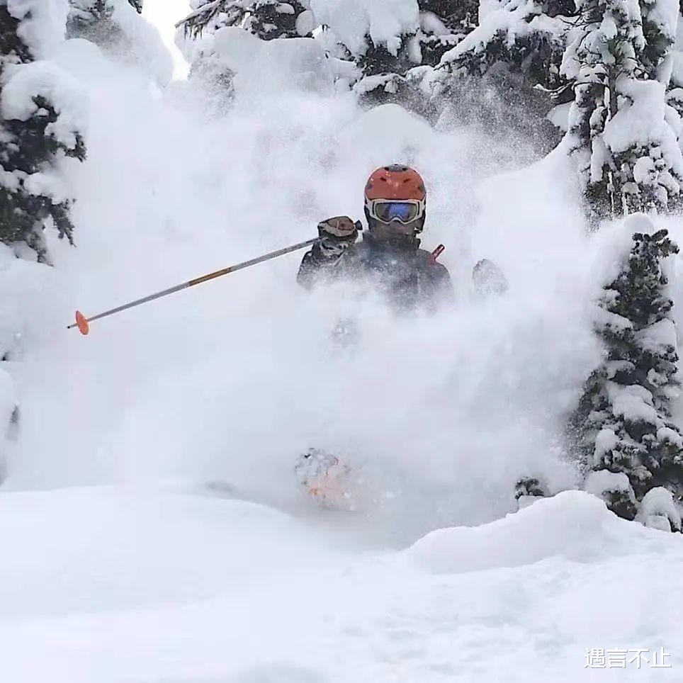 bilibili|谷爱凌的父亲是谷歌No.5员工， 终于被我们找到了！