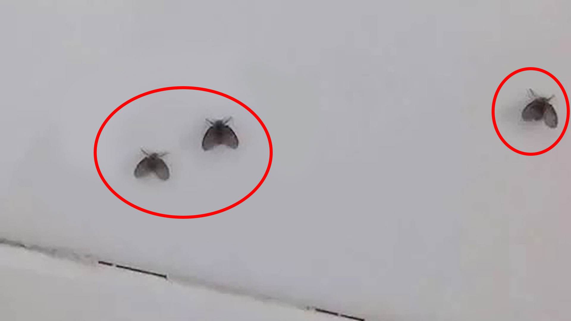 主卧带卫生间是实用,还是“鸡肋”?忽略这些缺陷,住着就是折磨