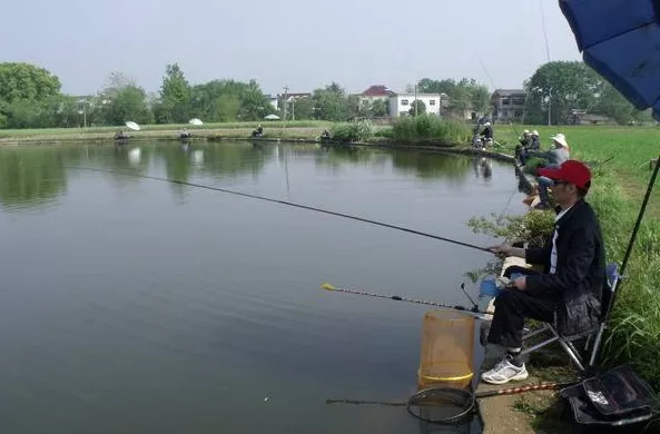 深水区|早春钓鲫，钓友记住这4点，保证你一钓一个准，鲫鱼一顿狂拉