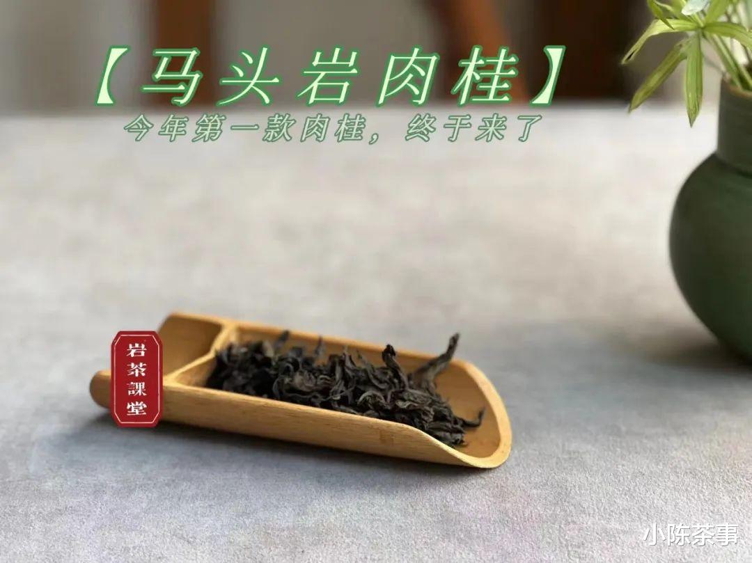 |陈年岩茶用紫砂壶泡，汤感更稠滑？3个细节, 读出了紫砂壶冲泡之密