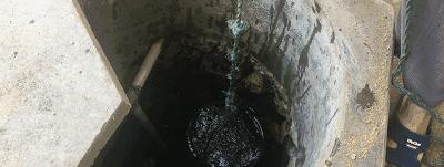 悲伤的非洲肺鱼:地下不吃不喝活好几年,却还是被人类挖掘了出来