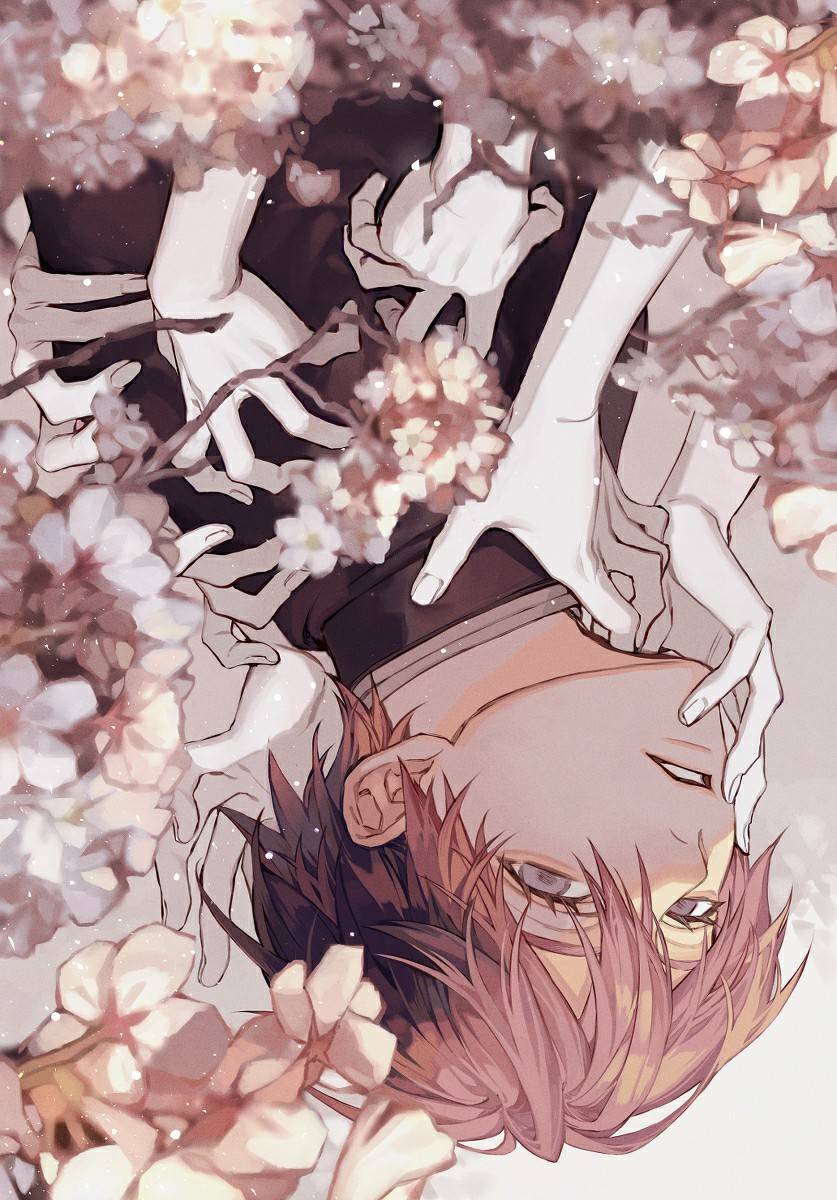 |又是一年樱花季,换张动漫壁纸吧!