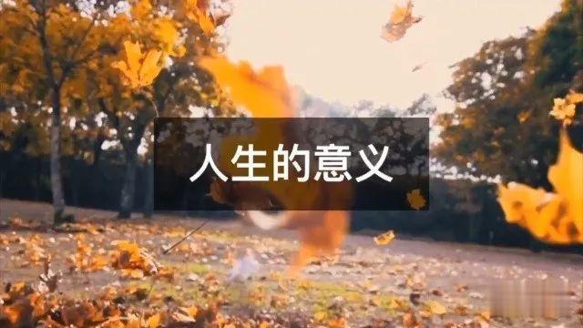 重来|如果人生可以重来，你会怎么选择？
