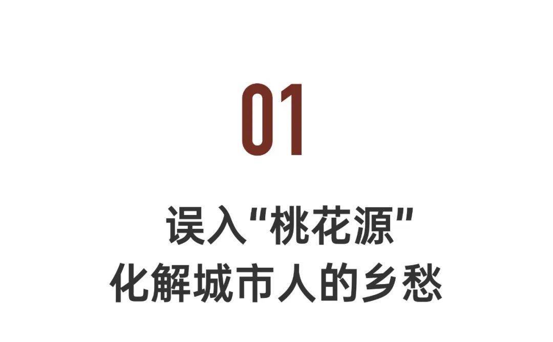上海市|上海最美水上村落，一群高学历青年抱团生活