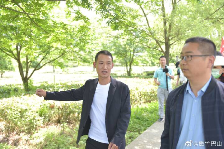 女娲|休闲旅游 品茶观光 女娲山上心旷神怡