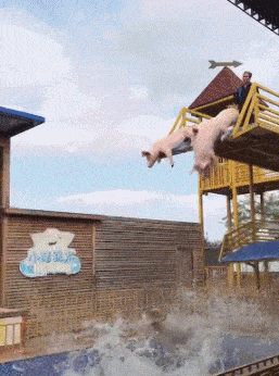 结婚时请了3个伴娘,发现这婚可能结早了...总要给别人留点机会啊