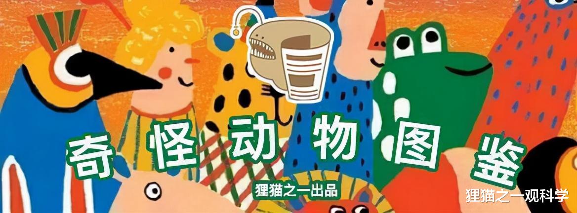 190岁陆龟成为现存最老陆生动物,长寿秘诀是啥?人类已得到启发