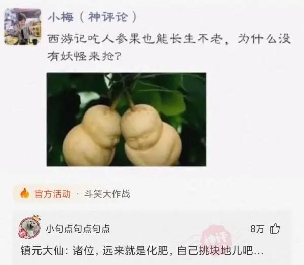 轻松一刻：你别看我胖，说起减肥来我一套一套的！