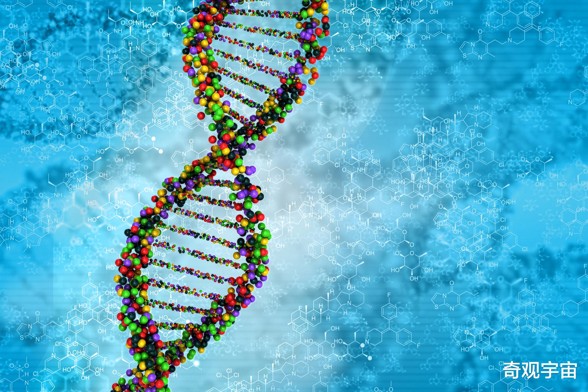 专家认为挨饿可以延年益寿?3万多个科学家表示认同,依据是什么?
