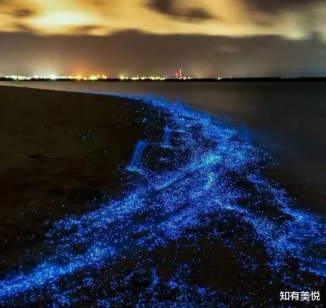 旅行|初夏限定风景!国内9个新奇又治愈的小众旅行地,即将美上热搜!