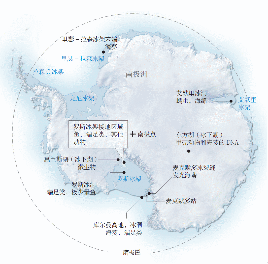 钻入南极冰下800米,发现大量古生物群,改变了人类对生命的认知