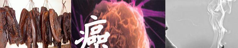 癌细胞能被杀死?科学家:针对于癌症的疫苗,或将在2030年前问世