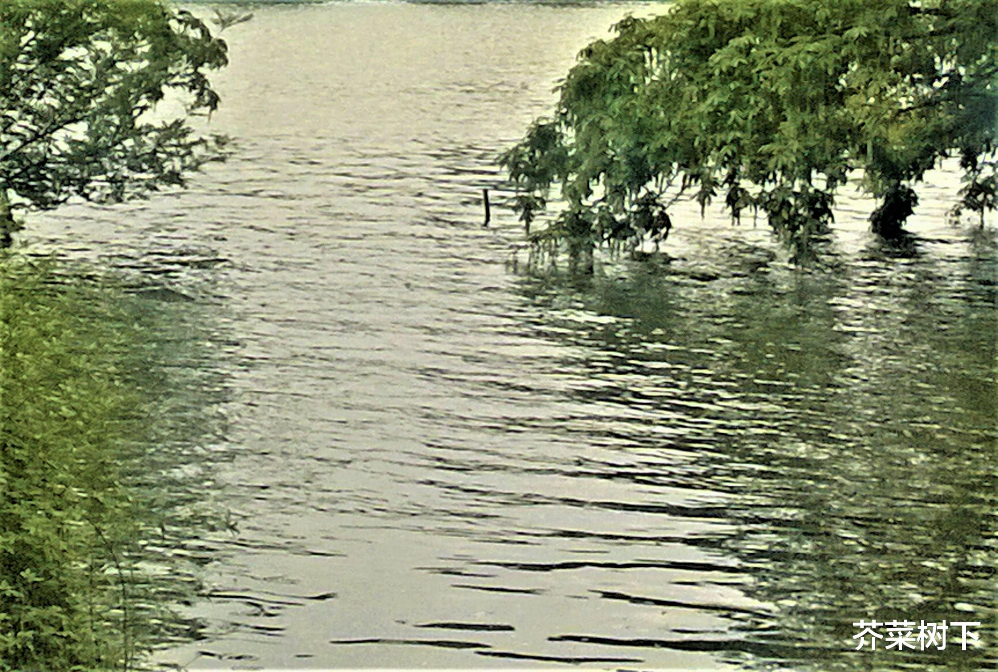 |职场站队故事之：不站队