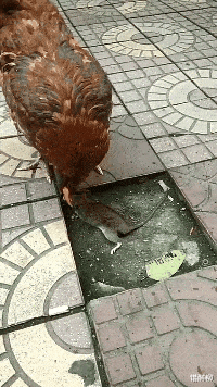 給你一個億|“讓你卸載三個APP，完事給你一個億，你會卸載哪三個？”