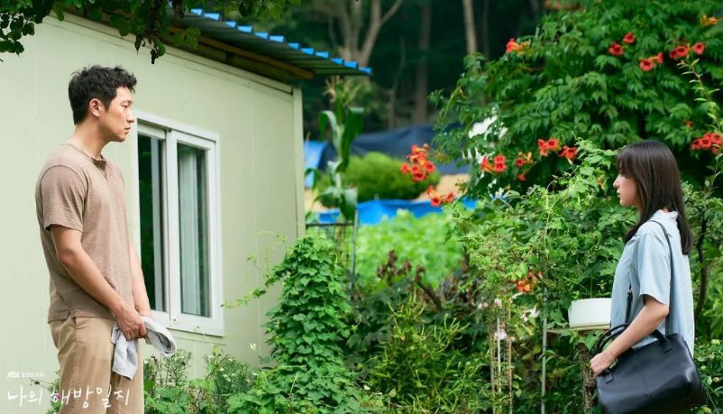 新垣结衣|金智媛新剧开播,和李民基演兄妹,讲述平凡人的救赎疗愈