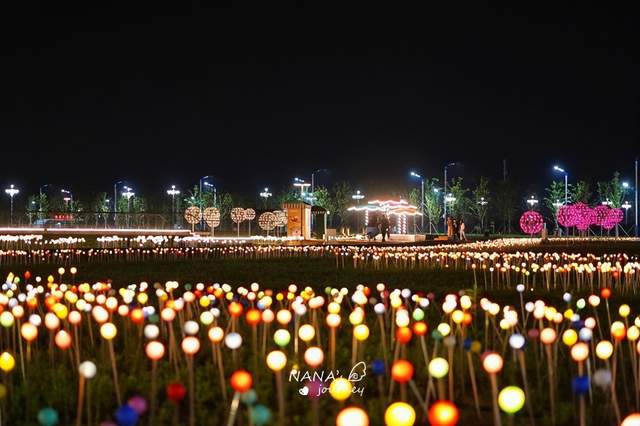 古镇|你见过星光花海吗?吉林的这个地方,日夜各有玩法门票免费