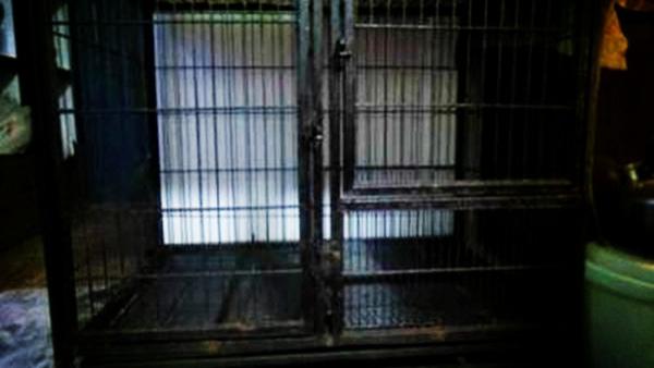 深圳万科第五园性奴案回顾：17岁少女约见网友，被其囚禁在狗笼里