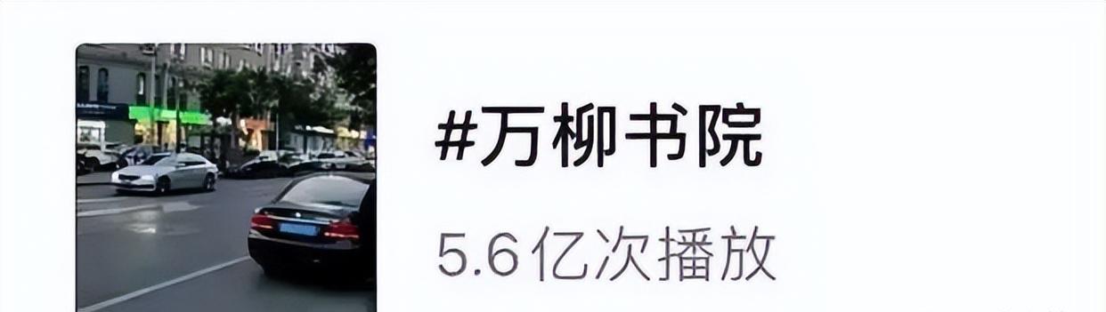 百万网友争当家奴,“万柳少爷”爆火的真相是什么?